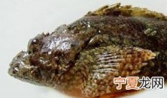 石头鱼的风水学应用 石头鱼风水学应用