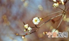 2021年立春雨水多吗 2021立春不下雨的谚语