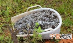 番薯糠如何做肥料 还可以用什么做肥料
