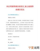 向领导请示报告怎么写