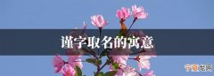 锐瑾的寓意
