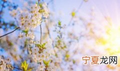 立春朋友圈祝福语句子 立春朋友圈祝福语句子简短
