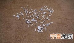 碎纸屑的用处 你都了解其中用处吗