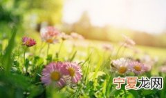 关于立春当天的温暖问候图片 关于立春当天的温暖问候