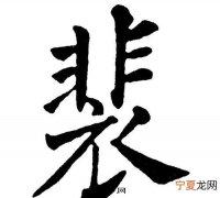 裴怎么读，裴厶桡名字怎么读