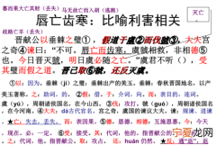 唇亡齿寒什么意思，唇亡齿寒中宫之奇用什么来形容虞虢