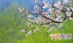 立春是开春的意思吗 立春是开春的意思吗为什么