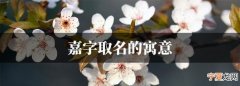 锐嘉的寓意