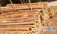木头怎样去皮 木头如何去皮