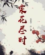 棠时的寓意，棠棠名字的寓意