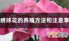 养绣球花的方法 绣球花喜欢什么土壤