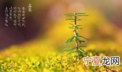 立春的民间风俗吃什么 立春的民间风俗吃什么东西