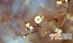 关于今日立春的简短句子文案英语 关于今日立春的简短句子文案