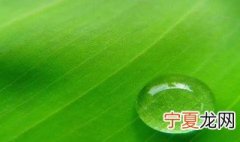 微信怎么换背景 微信怎么换背景图