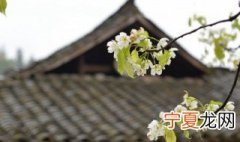 清明禁止上坟烧纸 2022年清明节可以为横死人上香烧纸吗