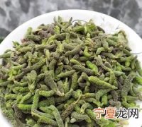 构树穗怎么吃，构树穗什么时候可以吃
