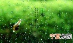 雨水节气应该吃什么水果 雨水节气应该吃什么