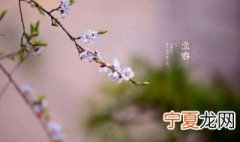 立春发朋友圈的早安问候语