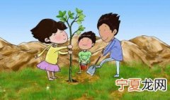 栽树的方法和技巧 植树的注意事项