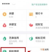 支付宝借呗可以转账到银行卡，蚂蚁借呗提现后可以转账给别人