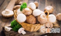 怎么种蘑菇 蘑菇种植方法