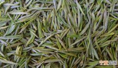 白茶产地，白茶原产地标志
