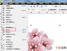 cdr应该咋才能吸取颜色