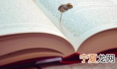 绿色通道什么意思 绿色通道的解释