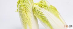 白菜放冰箱还是常温 白菜放冰箱还是常温保存好