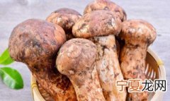 松荨的储存方法 松荨的储存方法有哪些
