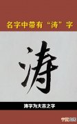 涛东的寓意