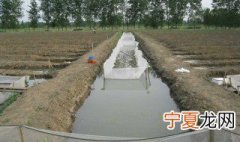 养殖水蛭的注意事项及技术 养殖水蛭的注意事项及技术是什么