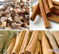 桂枝的功效与作用，桂枝茯苓丸的功效与作用有哪些