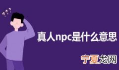 真人npc是什么意思 真人npc的意思介绍