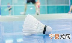 一只羽毛球上有多少根羽毛 羽毛球上羽毛数量