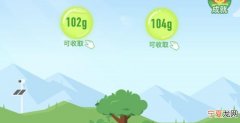 蚂蚁森林能咋浇水，蚂蚁森林一天能给别人浇多少水