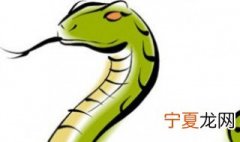 梦见很多蛇是什么意思 梦见很多蛇是什么含义
