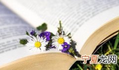 非常秀气的网名 非常秀气的网名男