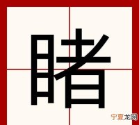 有目共睹打一字