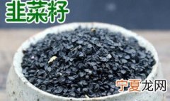 韭菜籽种植的方法 韭菜籽怎么种植方法