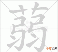蒟蒻怎么读