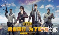 和平精英骚气的昵称 和平精英最骚气的昵称