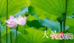 二十四节气之大暑的农业活动 大暑时节的天气特点是什么