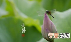 7月22号什么日子 7月22号日子简介