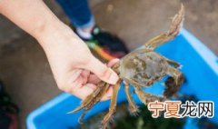 河蟹怎么保存不会死 河蟹死了能不能吃了