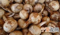 茨菇种植要几个月收获 茨菇种植多久能收获