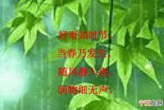 好雨知时节的下一句，好雨知时节当春乃发生的赏析