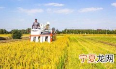 家庭农场起名大全 适合家庭农场的名字