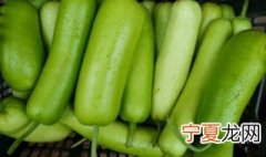 瓠瓜怎么种植 瓠瓜怎么种