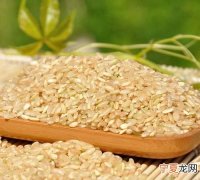 糙米是什么米